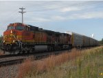 BNSF 4309 East